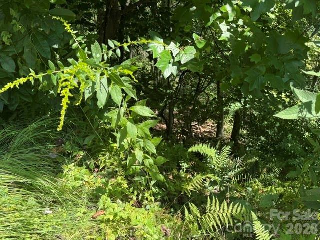 TBD Jane Ln., Hendersonville, NC 28792