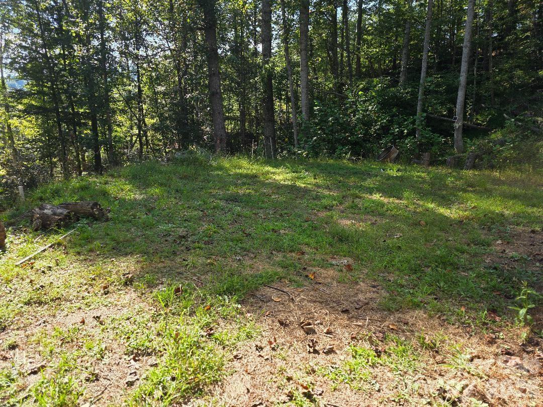 181 Poison Ivy Dr., Burnsville, NC 28714