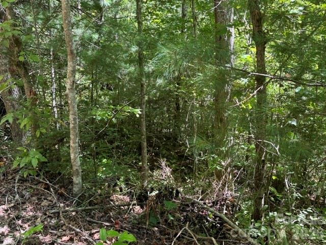 TBD Jarvis Dr., Hendersonville, NC 28792