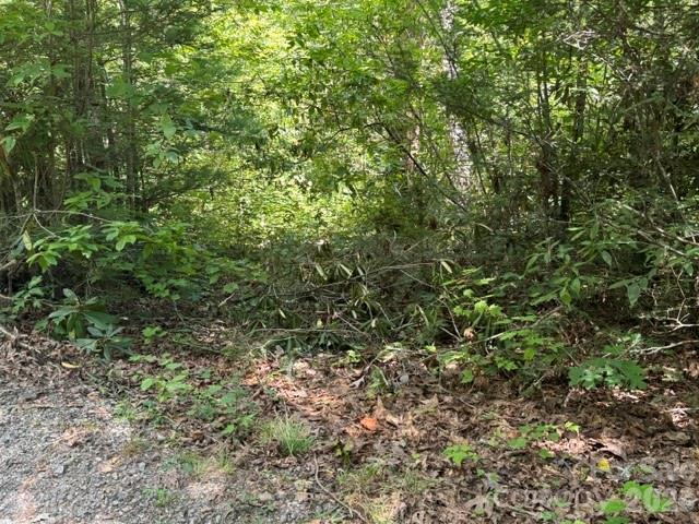 TBD Jarvis Dr., Hendersonville, NC 28792