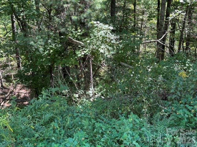 TBD Jarvis Dr., Hendersonville, NC 28792