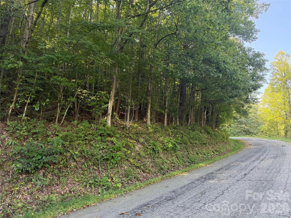 000 Bobcat Rd., Waynesville, NC 28785