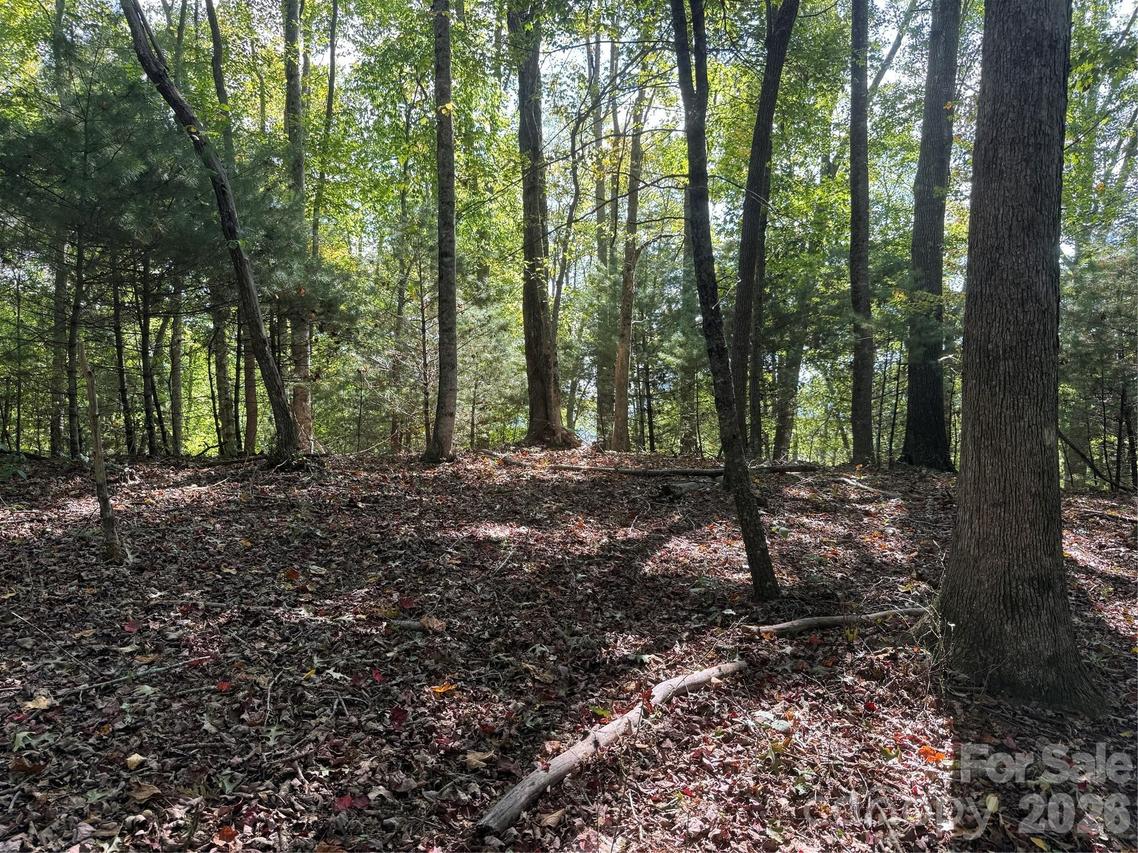 000A Rosalie Ln. #19, Waynesville, NC 28785