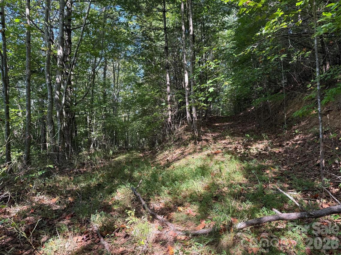 000B Rosalie Ln. #20, Waynesville, NC 28785