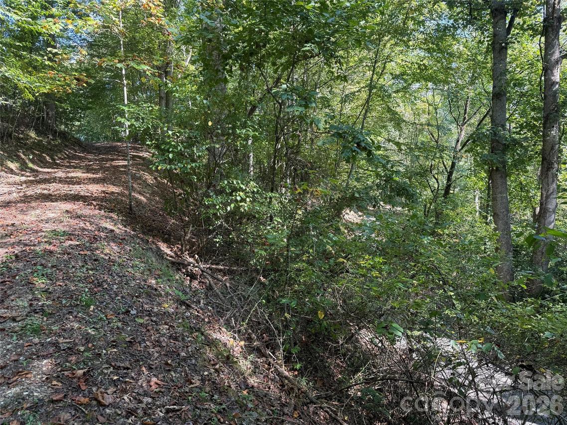 000C Rosalie Ln., Waynesville, NC 28785