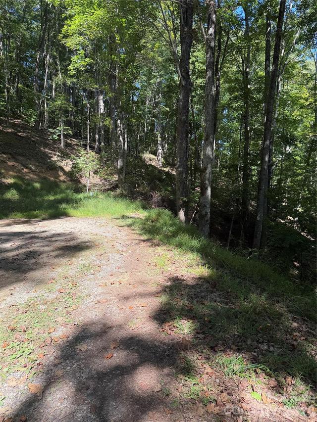 38 Gardenside Ln., Mars Hill, NC 28754