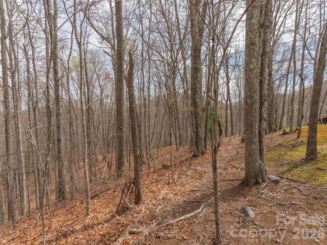00 Michele Ln. #4, Leicester, NC 28748