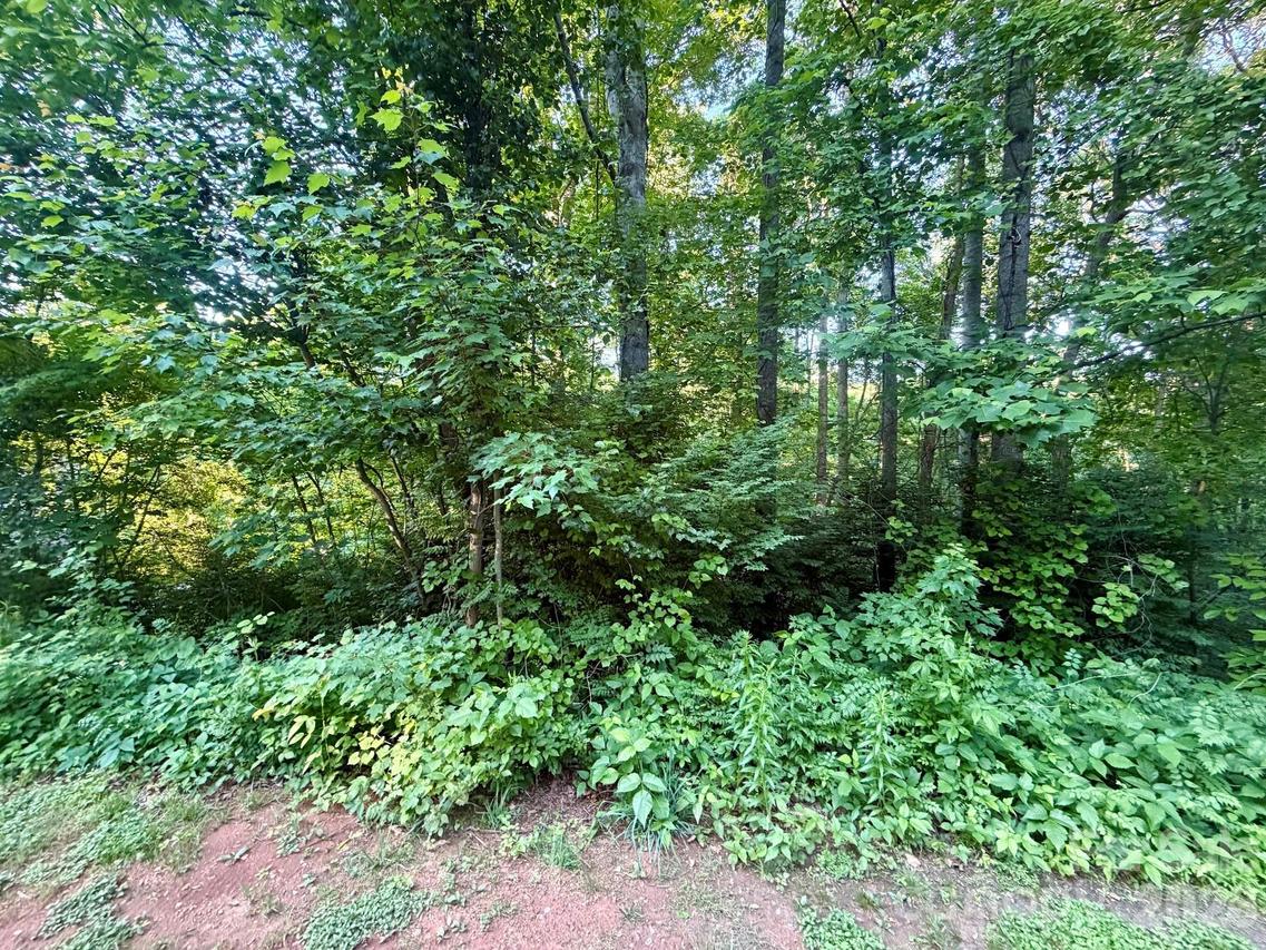 1221 Shirebourn None, Hickory, NC 28602