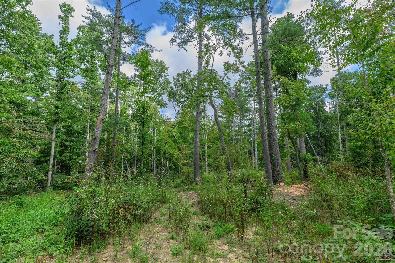 9999 Old Concord Rd. #3, Fletcher, NC 28732