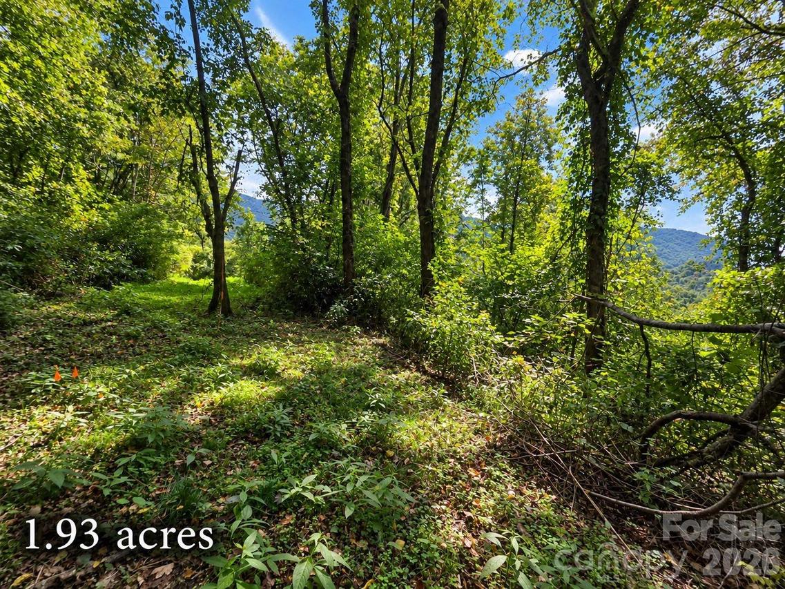 81 Dove Crest Ln. #18 & 33, Waynesville, NC 28786
