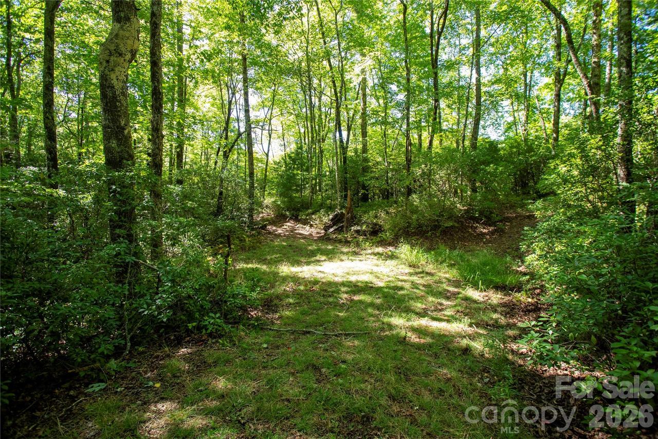 147 Hummingbird Hollow, Rosman, NC 28774
