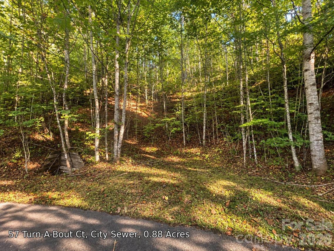 250 Turn-a-bout Ct. #57, Maggie Valley, NC 28785