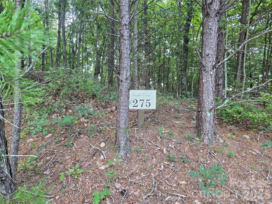 275 Kincaid Pl., Mill Spring, NC 28756