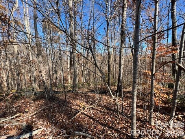 TBD Trail Ridge Dr. #113, Marion, NC 28752