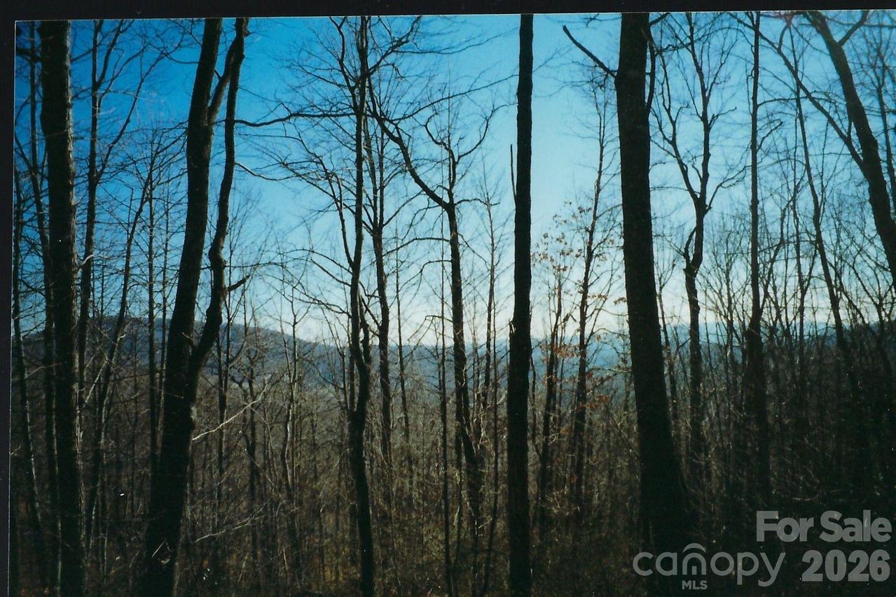 Lot #35 Damselfly Ct., Spruce Pine, NC 28777
