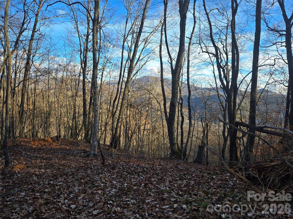 0000 Brasstown Rd., Cullowhee, NC 28723