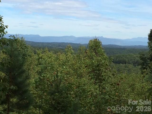 113 Meditation Ridge Dr., Nebo, NC 28761