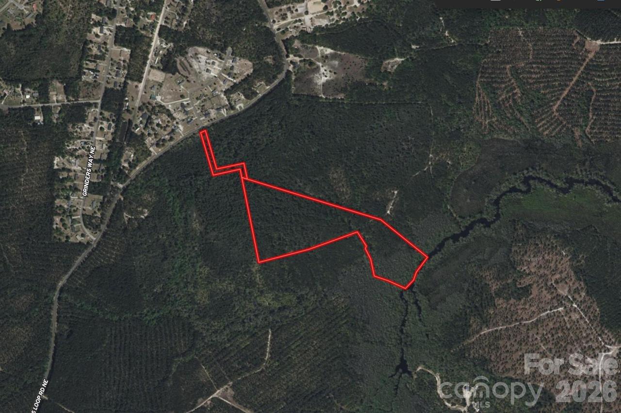 3200 Blue Banks Loop Rd., Leland, NC 28451