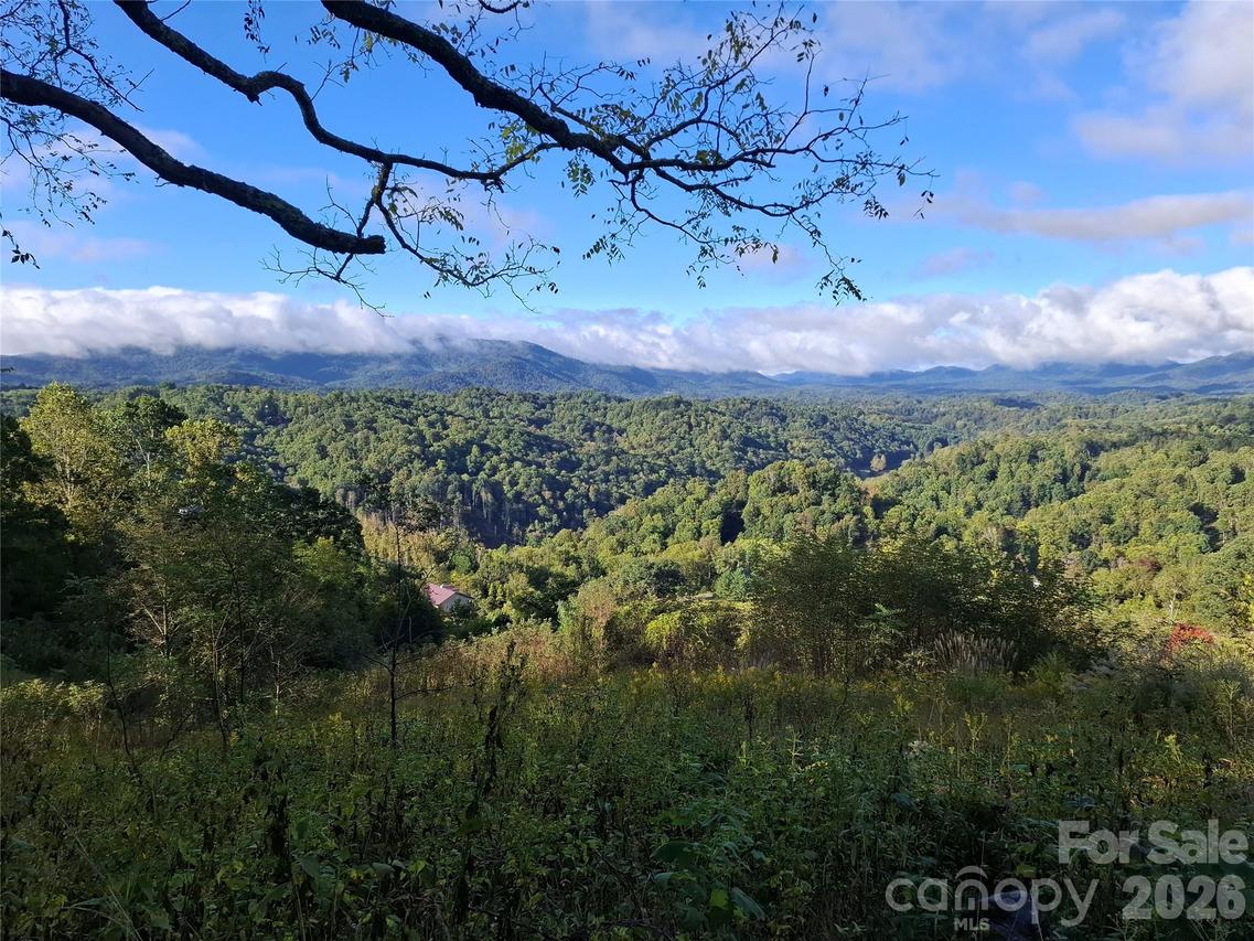 310 Sunset Mountain #11, Bakersville, NC 28705