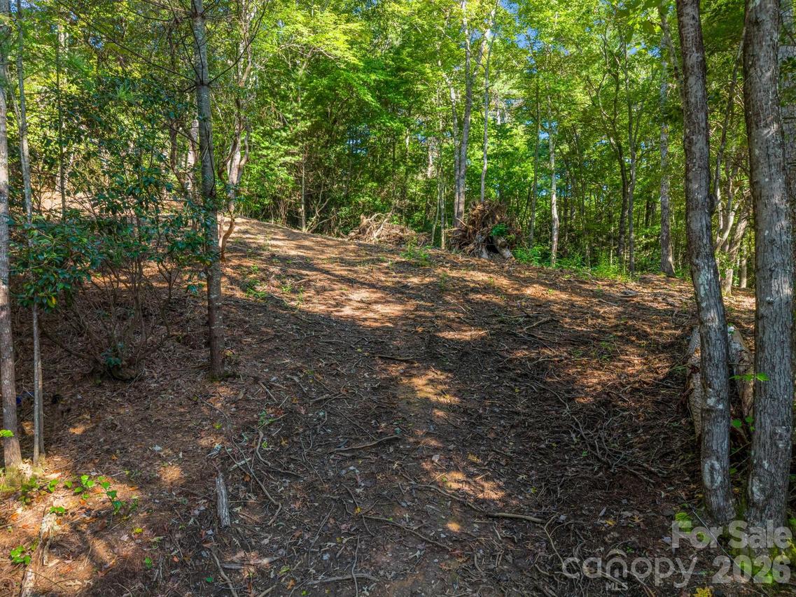 130 Summit Rise Rd. #9, Pisgah Forest, NC 28768