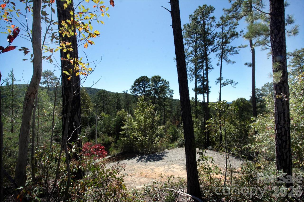 Lot 25 Round Mountain Rd. #25, Brevard, NC 28712