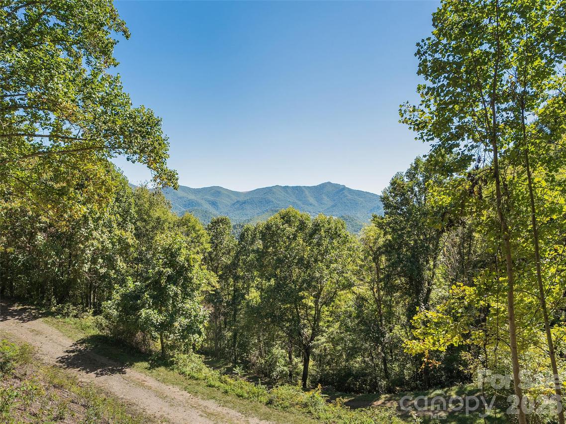 00 Mcnary Dr., Clyde, NC 28721