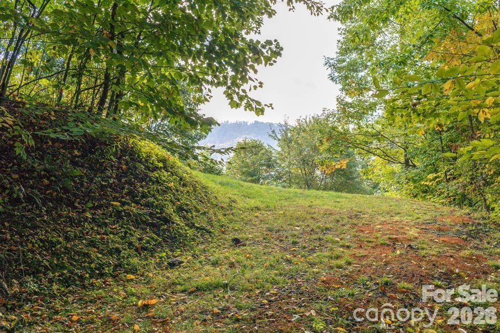Lot 2 Ball Hooter Rd. #2/6, Burnsville, NC 28714
