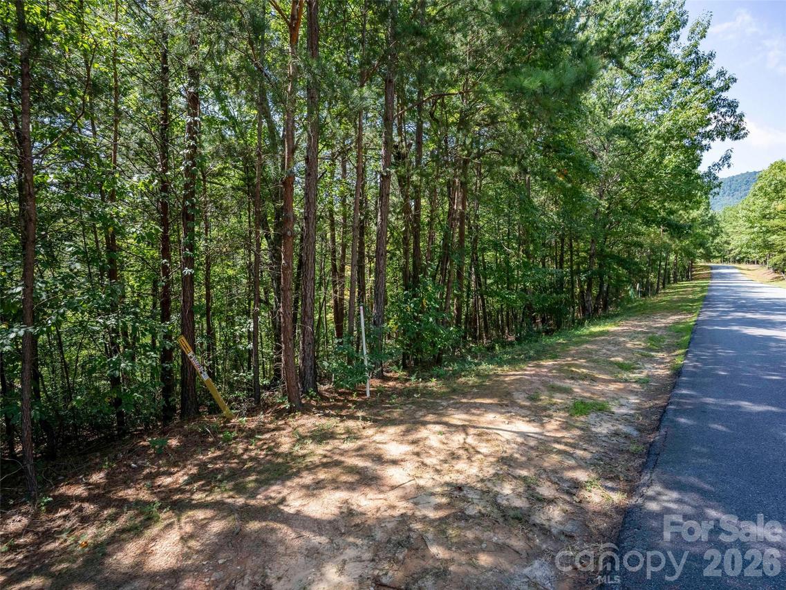 Lot 2010 Deep Gap Farm None, Mill Spring, NC 28756