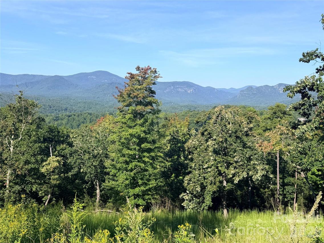 Summertime Dr., Lake Lure, NC 28746