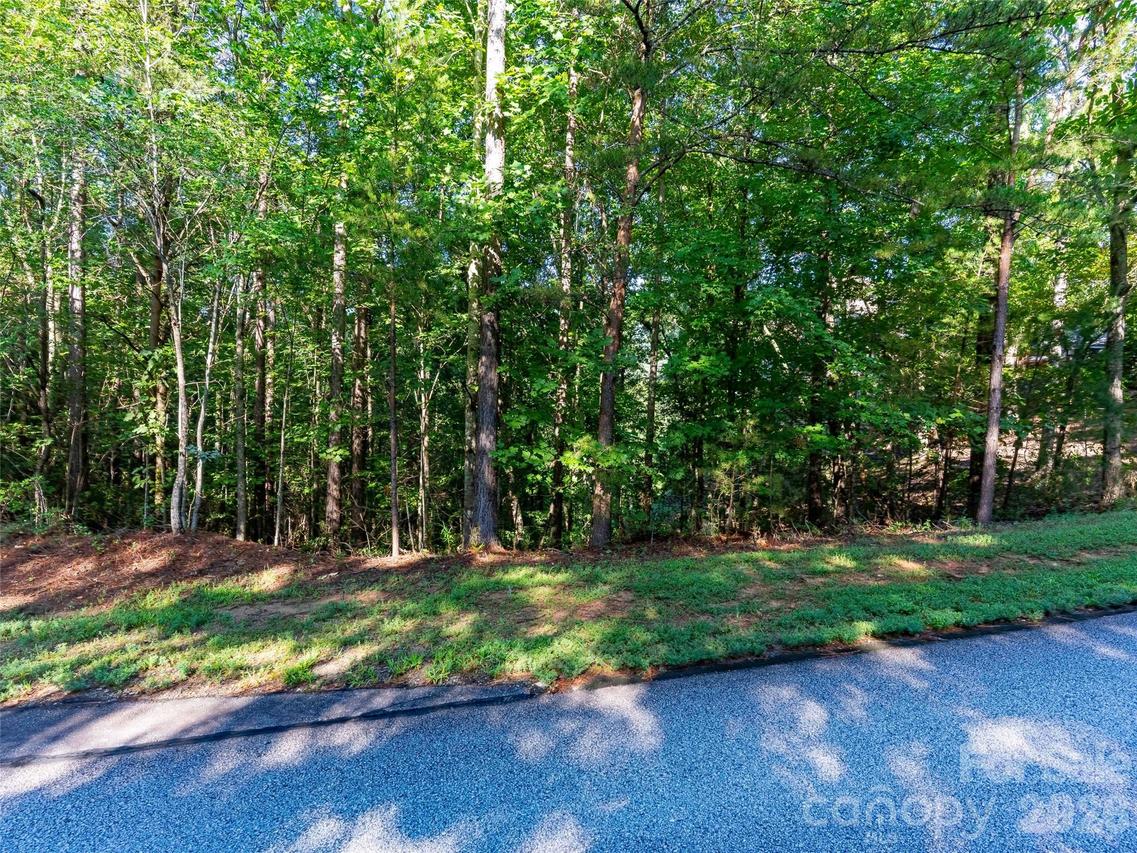 Deep Gap Farm Dr. #34, Mill Spring, NC 28756