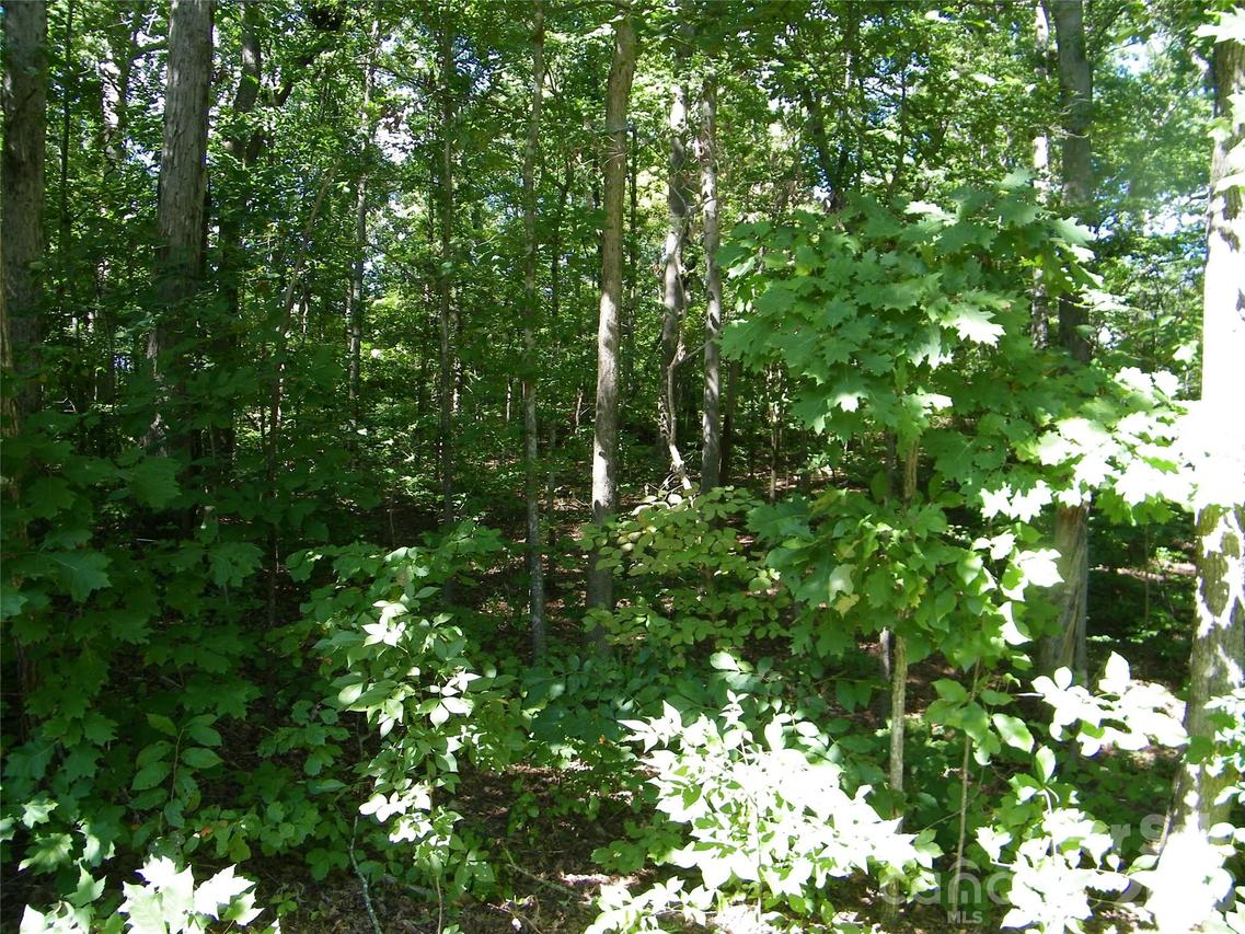 Chippewa Tr., China Grove, NC 28023