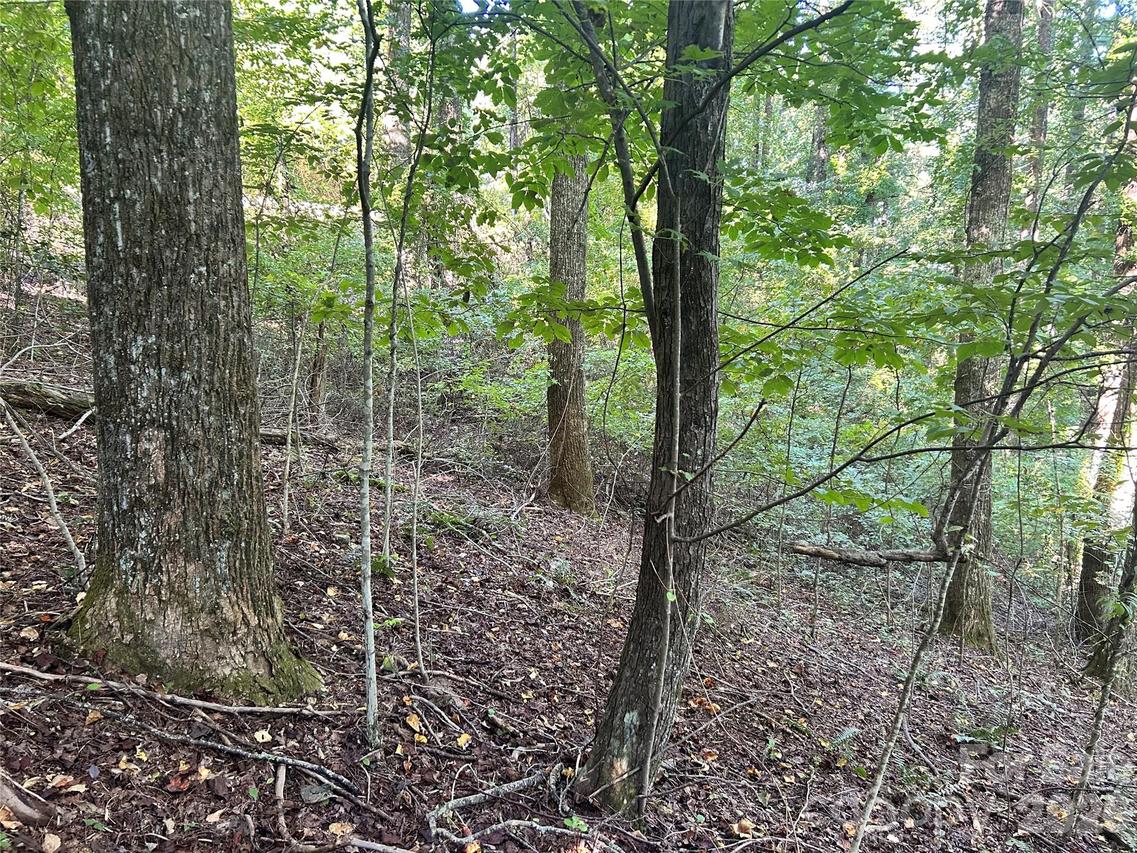 573 Solomon Cir., Hendersonville, NC 28739