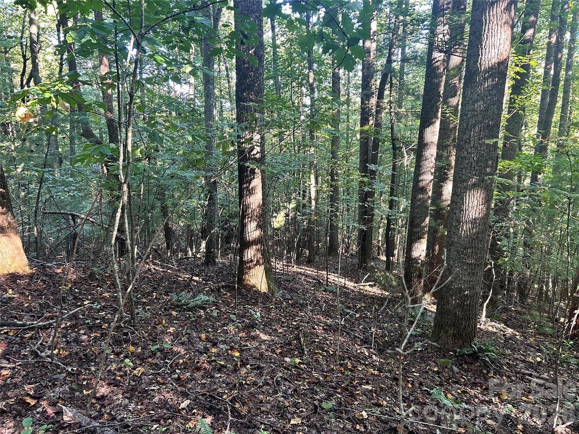 TBD Mt Hebron Rd. #36, Hendersonville, NC 28739