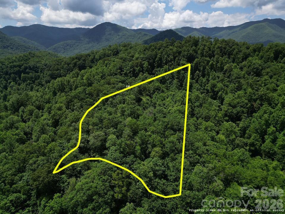 Lot 55 Black Rock Rd. #55, Qualla, NC 28719