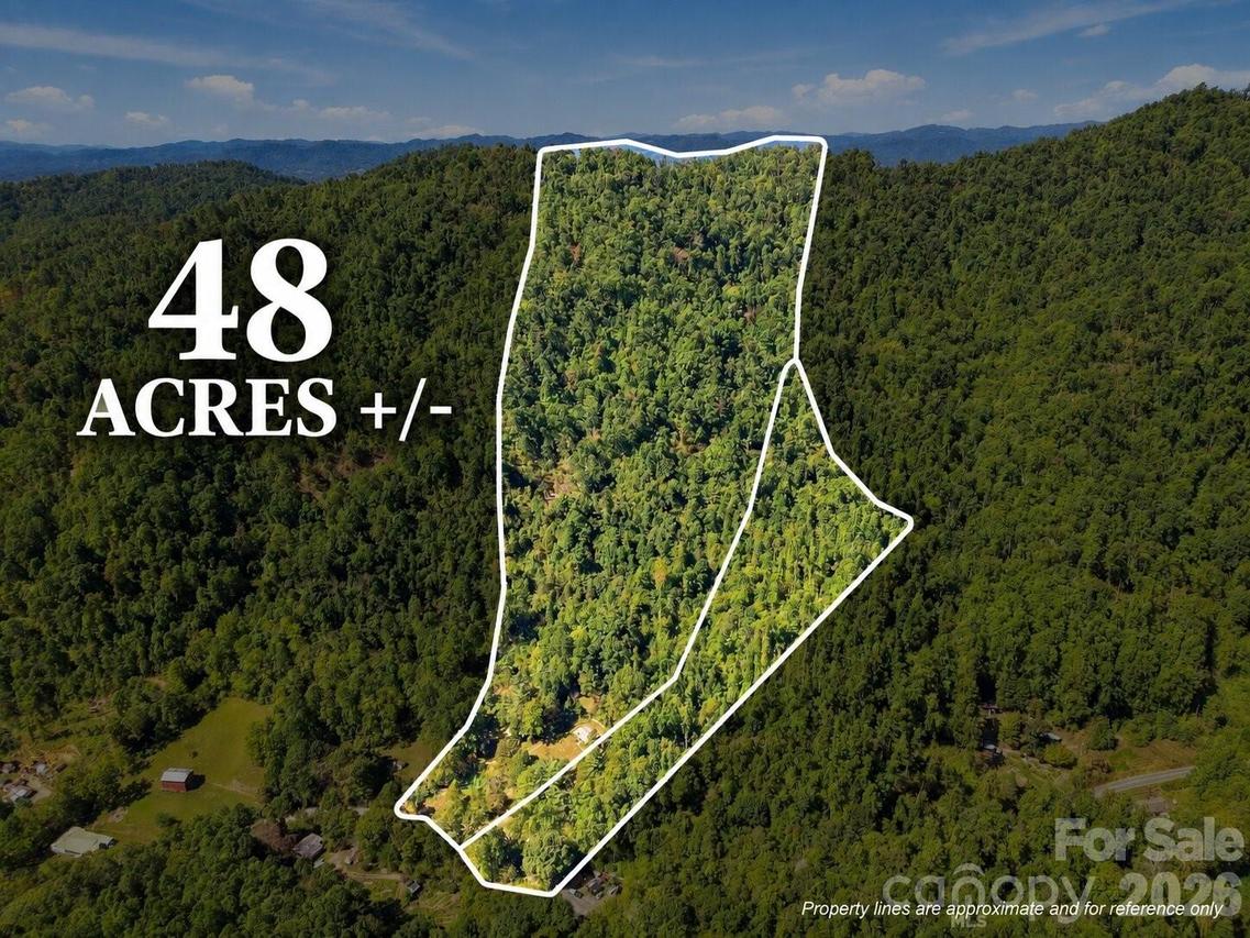 360 Poverty Branch Rd., Barnardsville, NC 28709