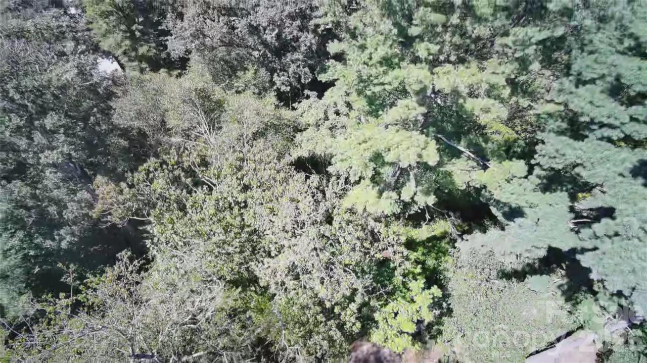 99999 Roebling Cir. #37, Asheville, NC 28803