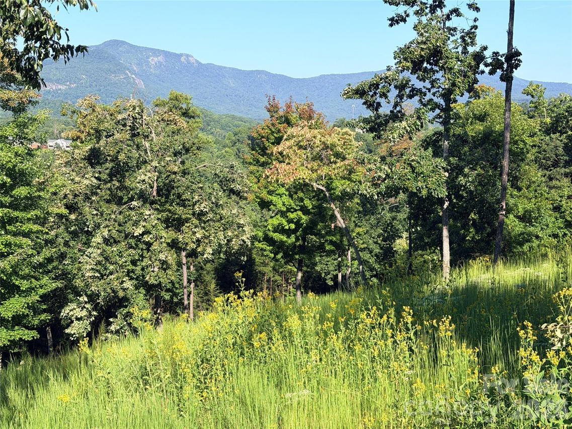 Summertime Dr., Lake Lure, NC 28746