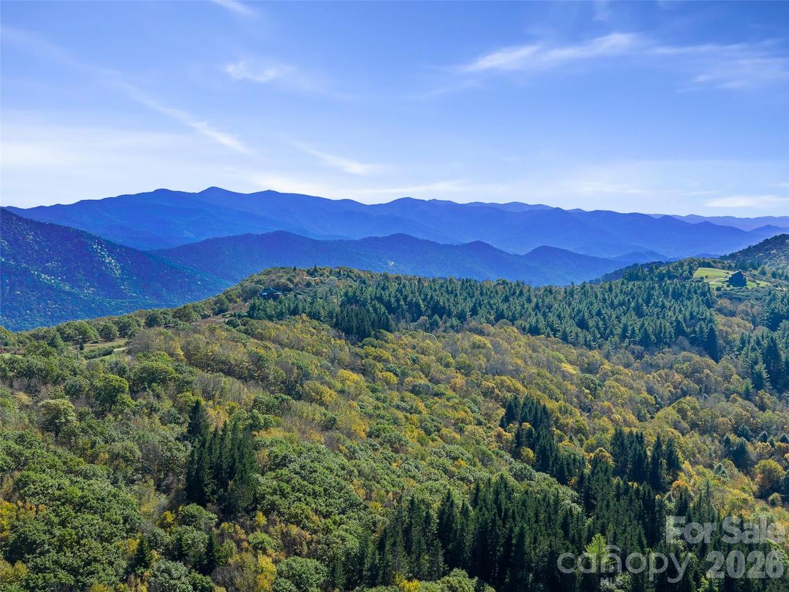 99999 Eagle Bald Tr., Burnsville, NC 28714