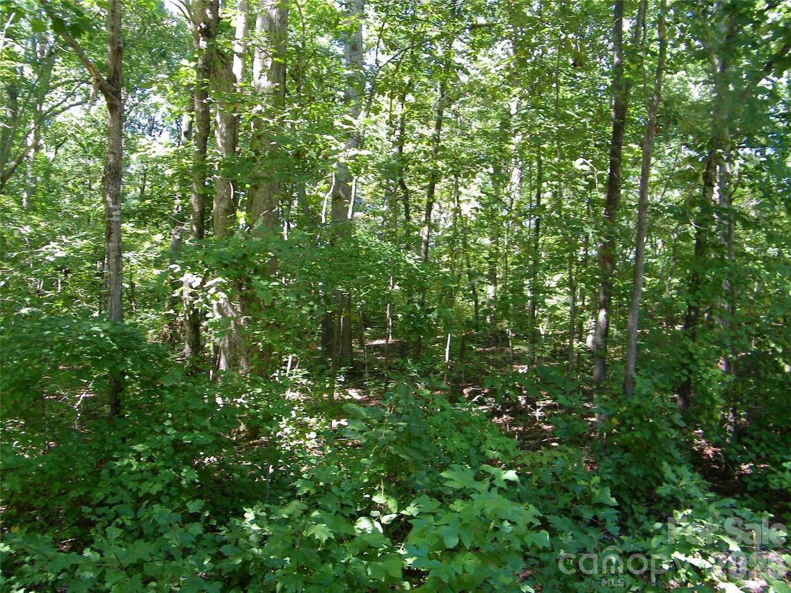 113 Chippewa Tr., China Grove, NC 28023