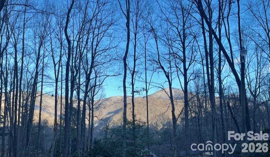 1 Hickory Dr., Maggie Valley, NC 28751
