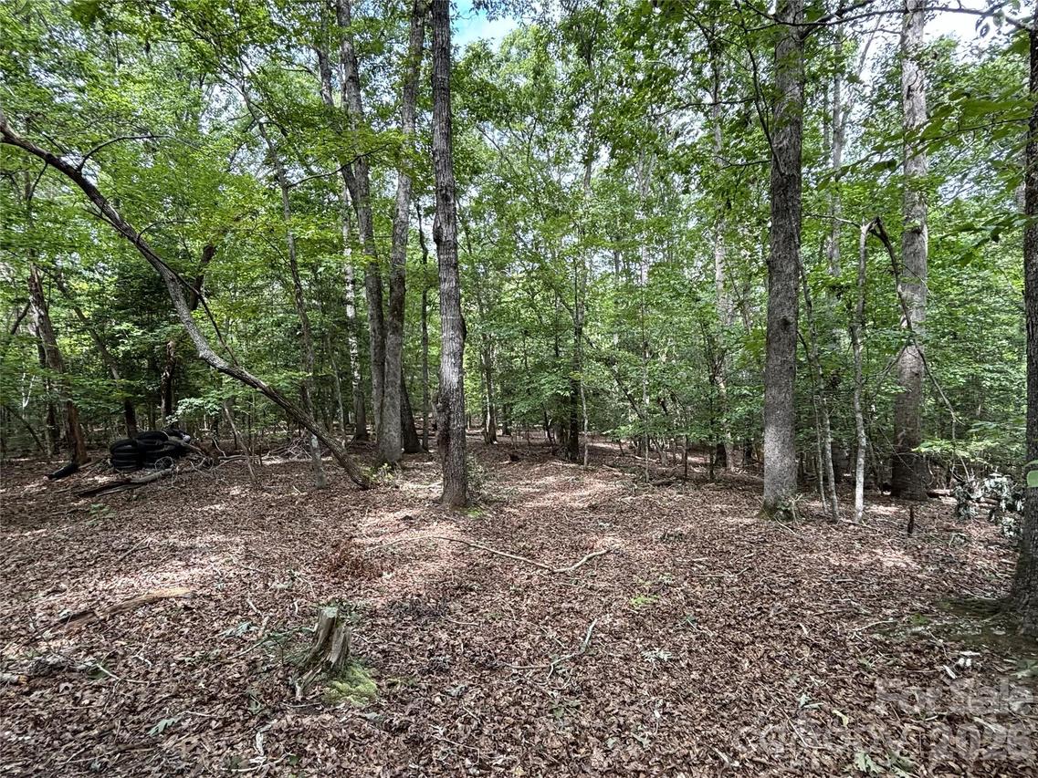 236 Sugar Loaf Rd., Troy, NC 27371