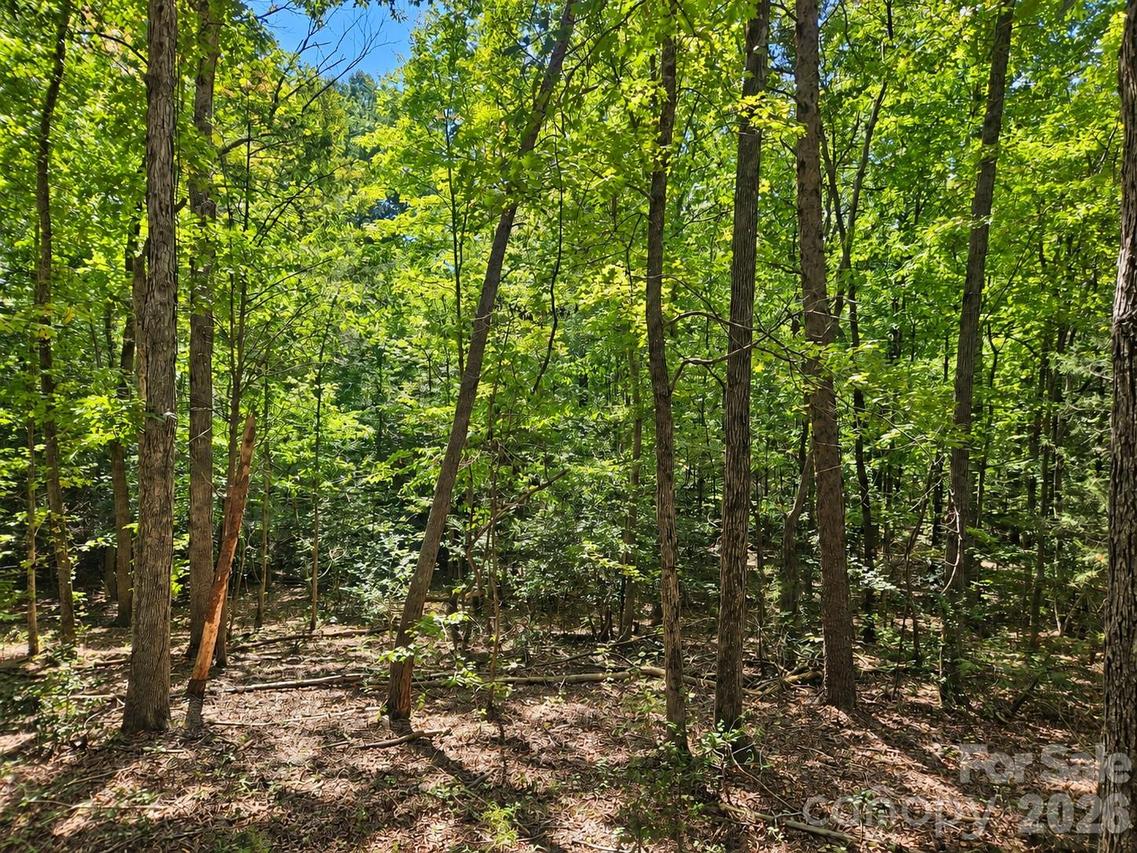 236 Sugar Loaf Rd., Troy, NC 27371