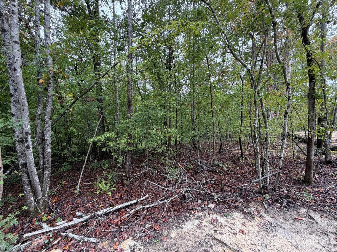 V/L W V Thompson Rd., Rutherfordton, NC 28139