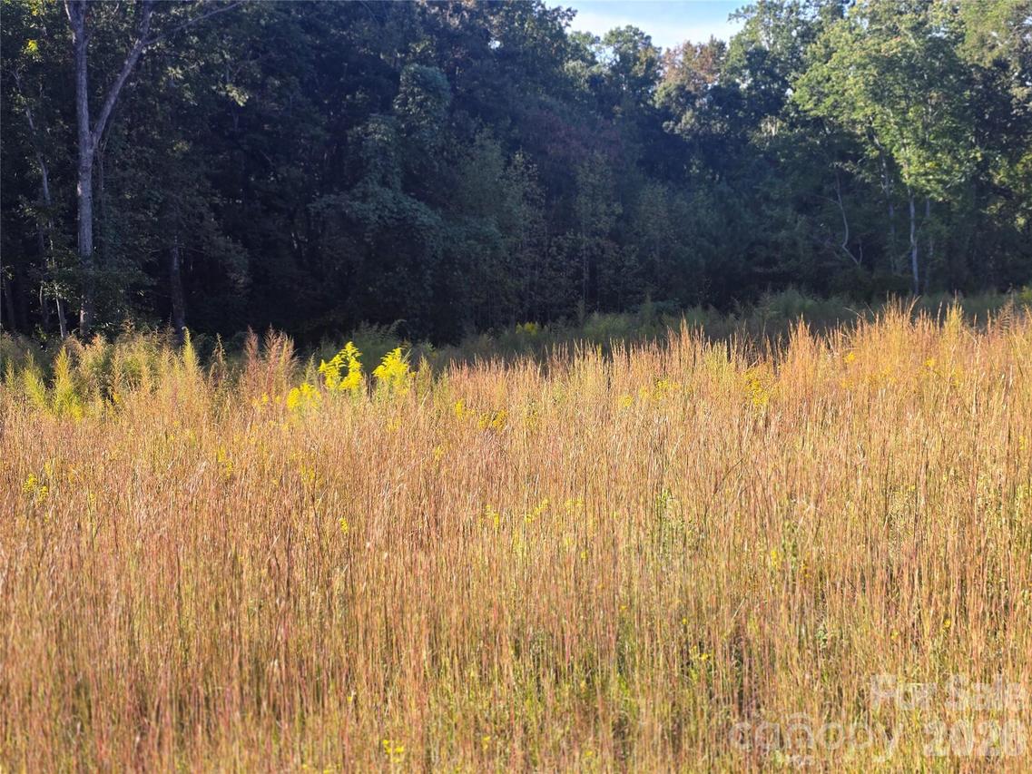 103 7th Ave. #5, Catawba, NC 28609