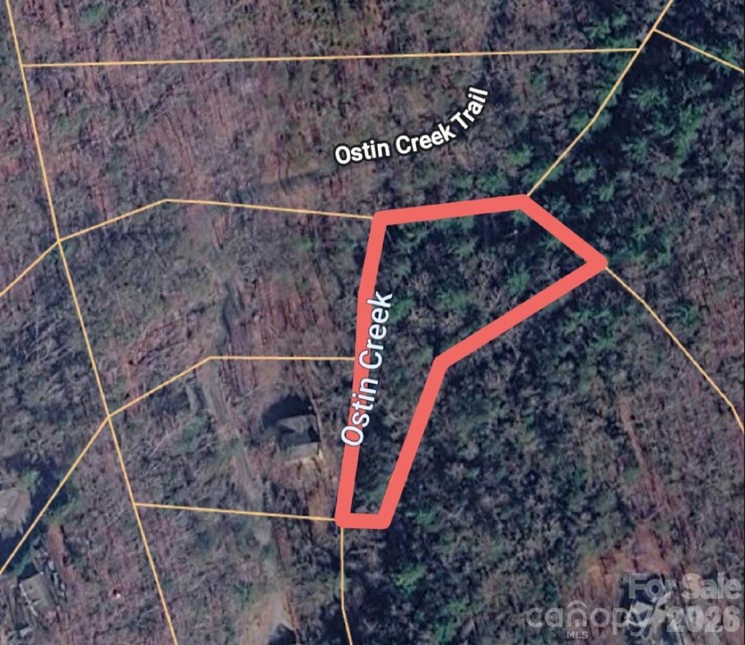 Ostin Creek Tr. #2, Mill Spring, NC 28756