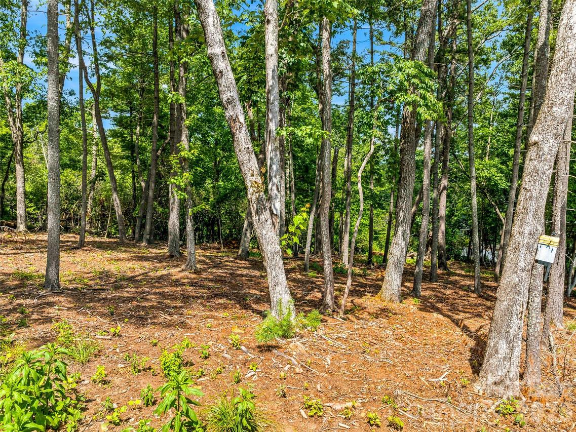129 Powder Creek Tr., Arden, NC 28704