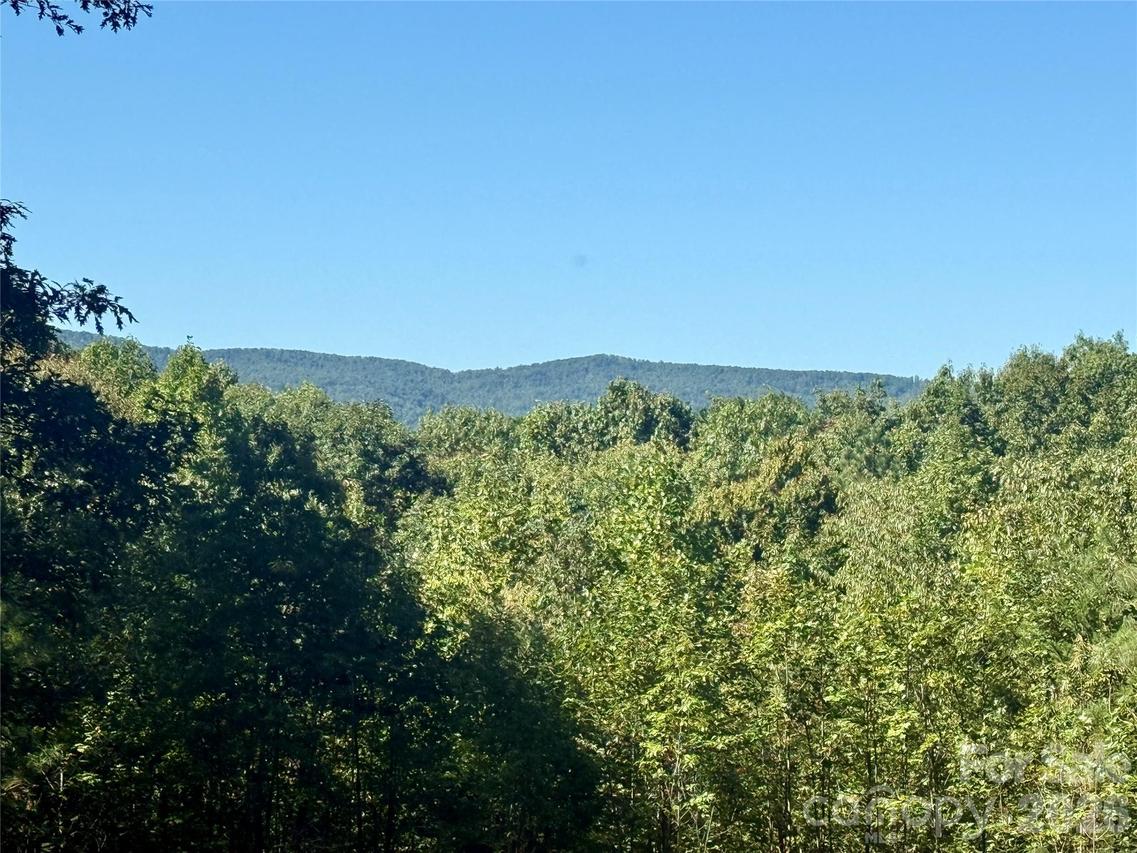 V/L Grandview Loop #376, Nebo, NC 28761