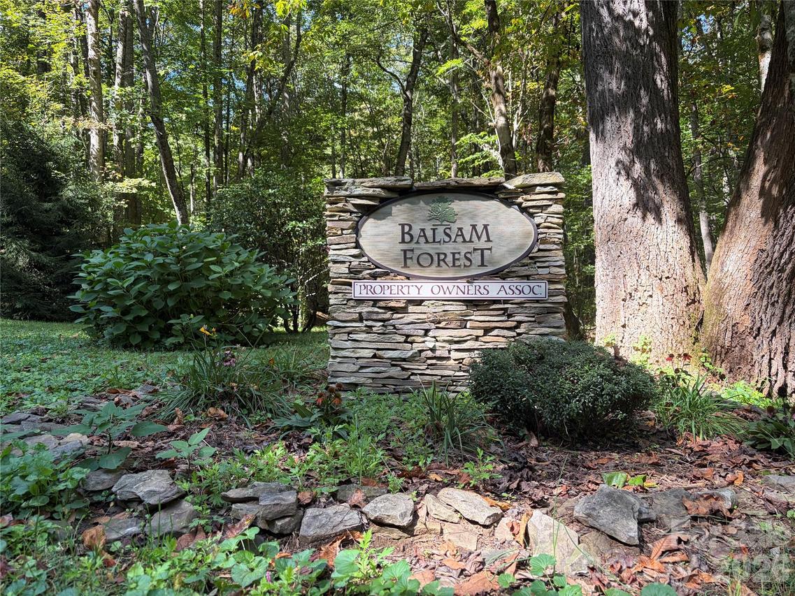 14 Fern Tr., Waynesville, NC 28786