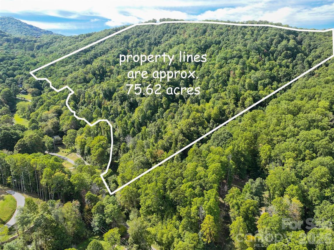 000 Mauney Cove Rd., Waynesville, NC 28786