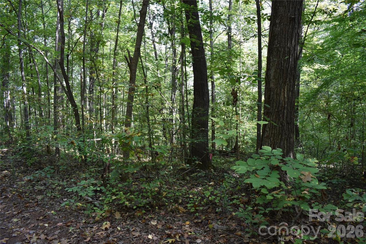 #167 Rolling Rd., Lincolnton, NC 28092